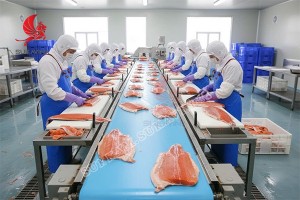 Cách chọn băng tải PVC xanh đúng chuẩn cho từng ngành công nghiệp